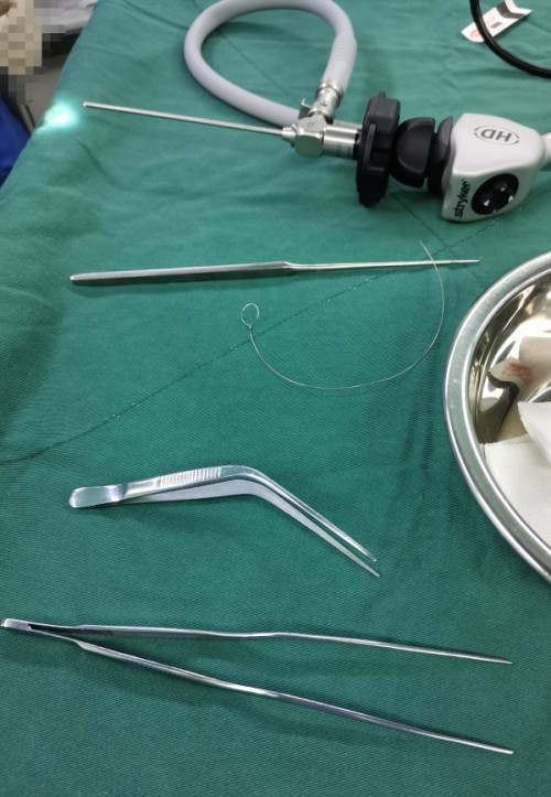 小朋友把异物放入耳朵,儿童把异物塞进耳朵