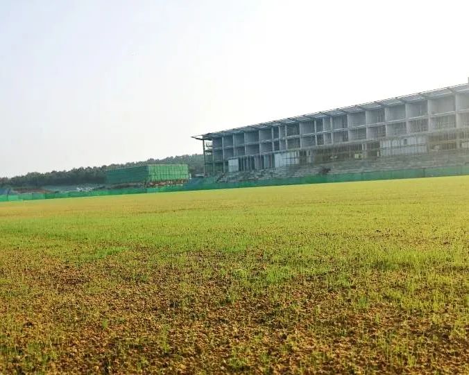 日照森林公园足球训练基地,日照足球中心符合国际标准吗