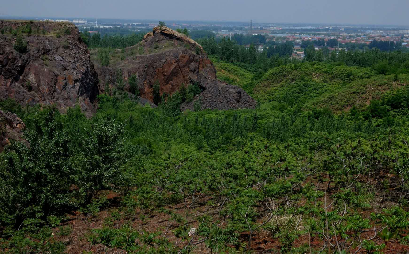综合治理的真实案例,综合治理方案