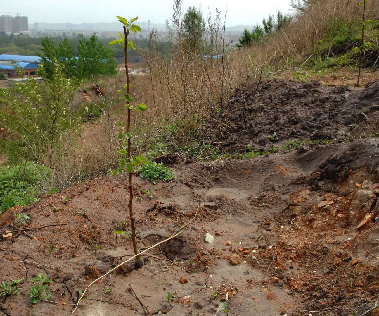综合治理的真实案例,综合治理方案
