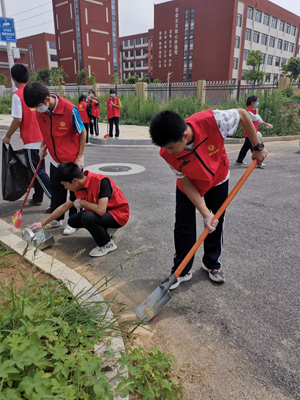 美化环境志愿者服务活动,美化环境志愿者先行
