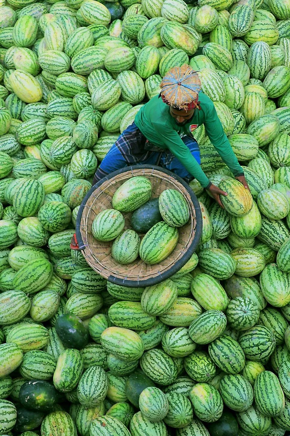 世界最绿颜色,世界上最绿的图片