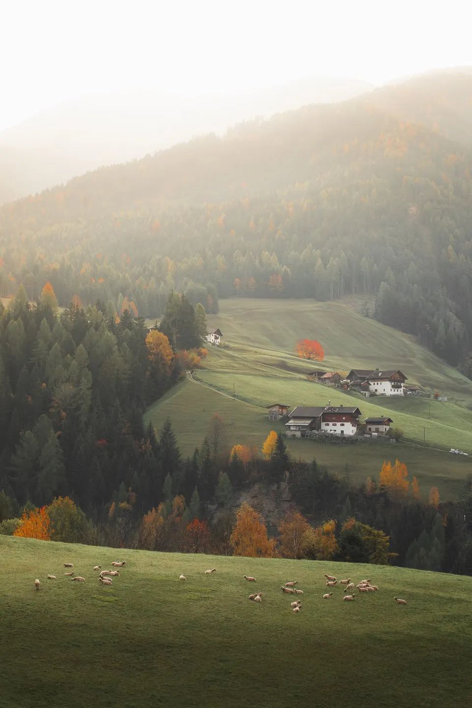 世界最绿颜色,世界上最绿的图片