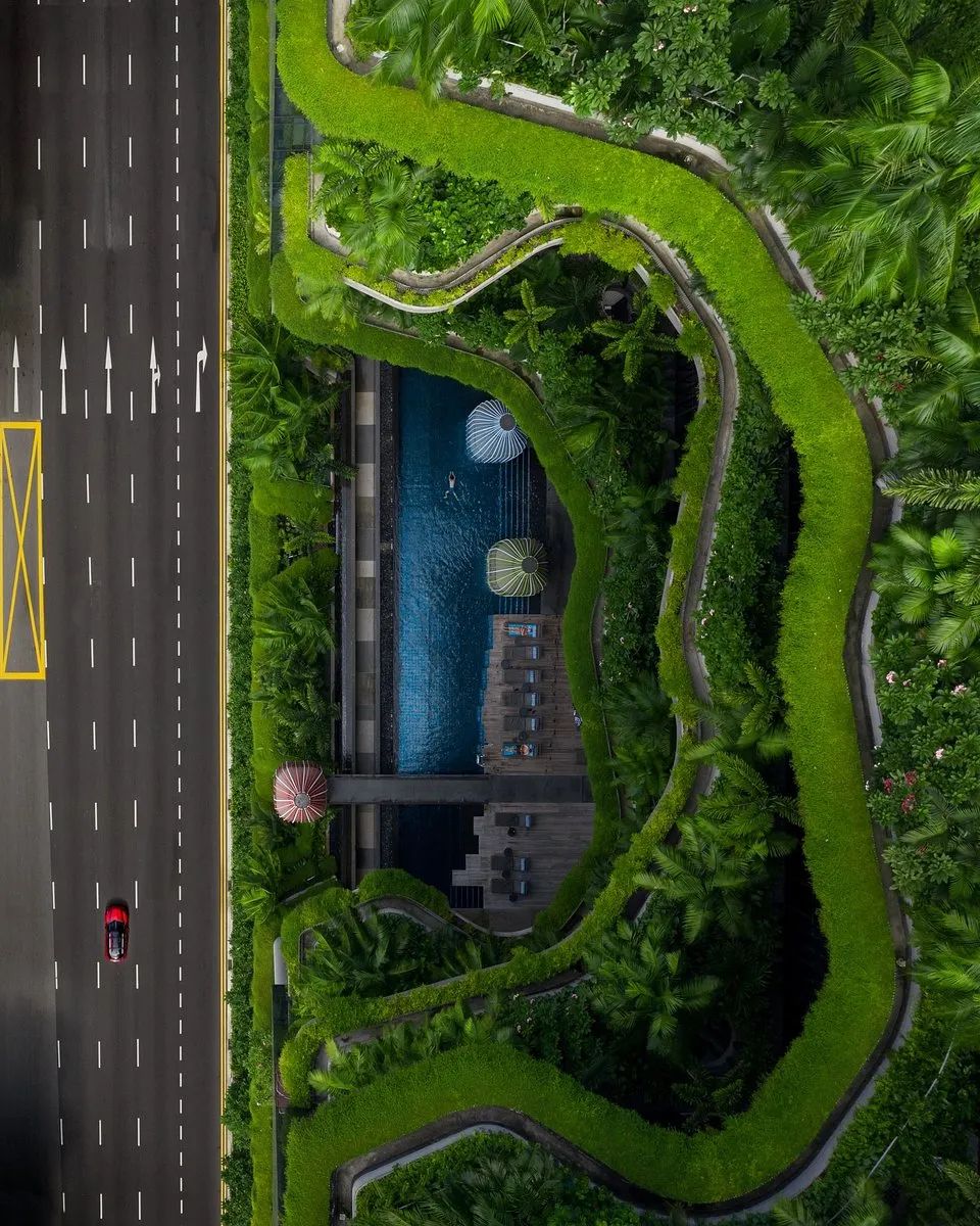 世界最绿颜色,世界上最绿的图片