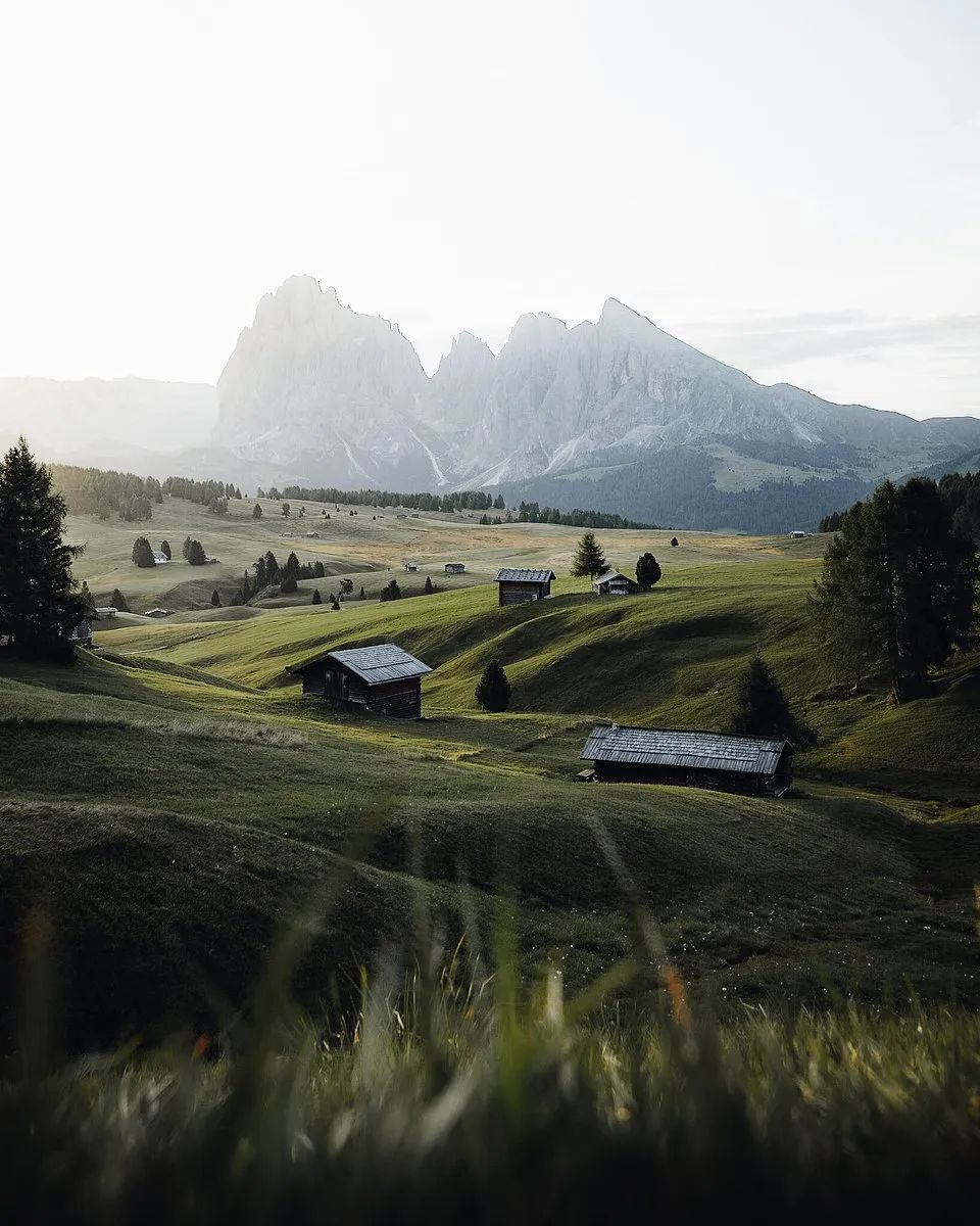 世界最绿颜色,世界上最绿的图片