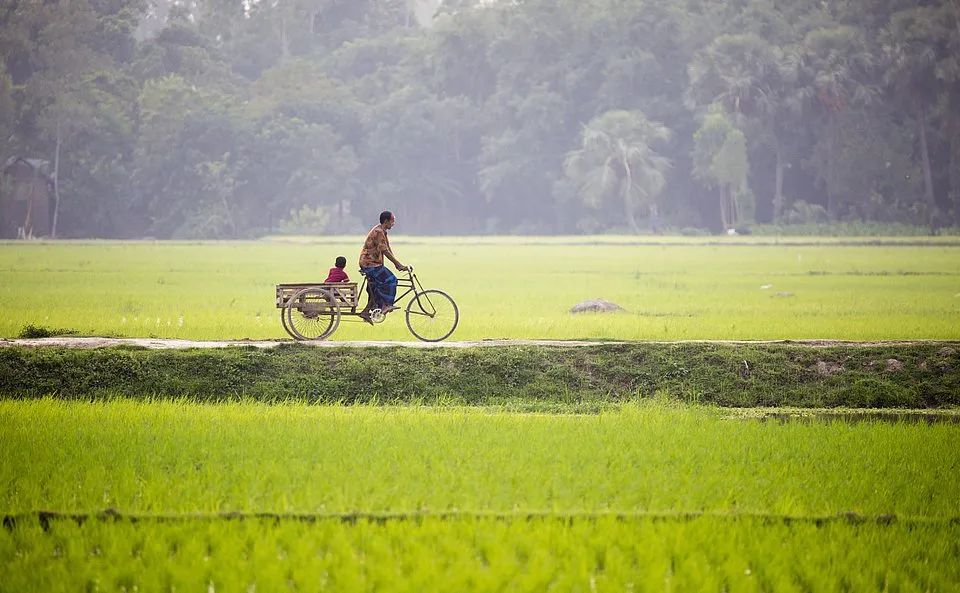 世界最绿颜色,世界上最绿的图片