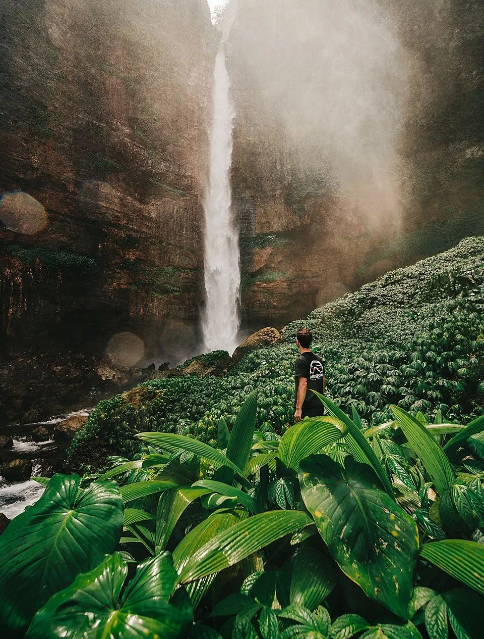 世界最绿颜色,世界上最绿的图片