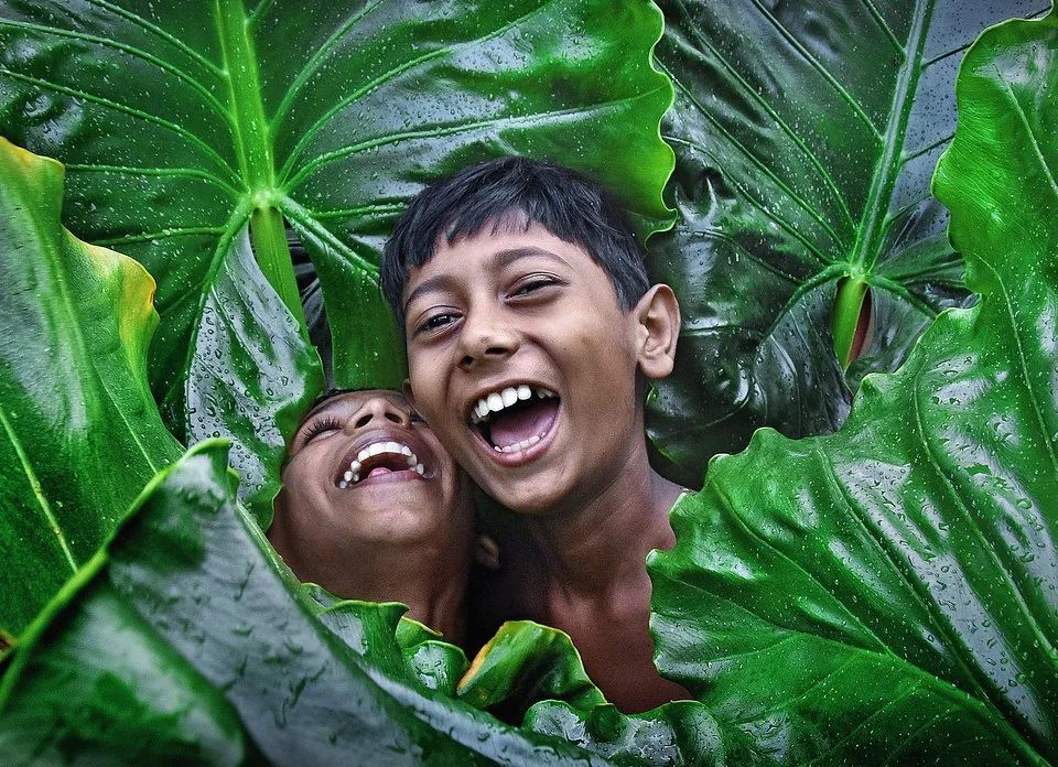 世界最绿颜色,世界上最绿的图片