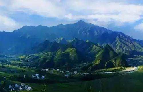 医护人员把这种鲜花当面膜，皮肤白嫩得让男人受不了，到底有多神奇？