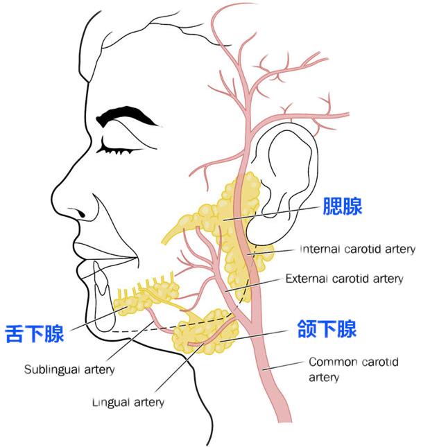 喝水过多出现哪些不好表现,喝水特别多是什么病