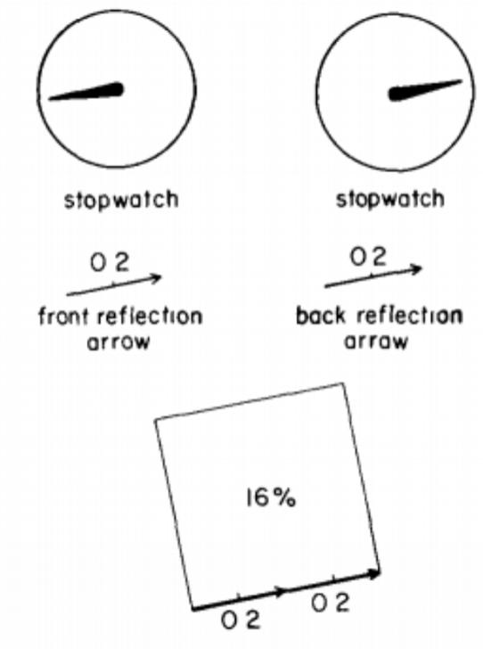 费曼当艺人,费曼学习法就是让孩子当老师吗