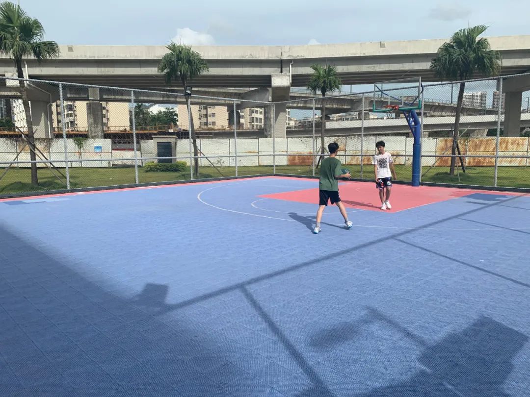 网球珠海赛直播,2023年珠海网球赛事