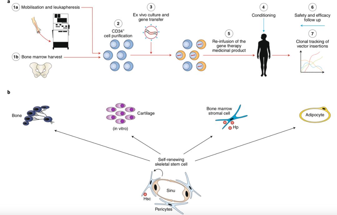谁持彩练当空舞的出处,谁持彩练当空舞出自哪里