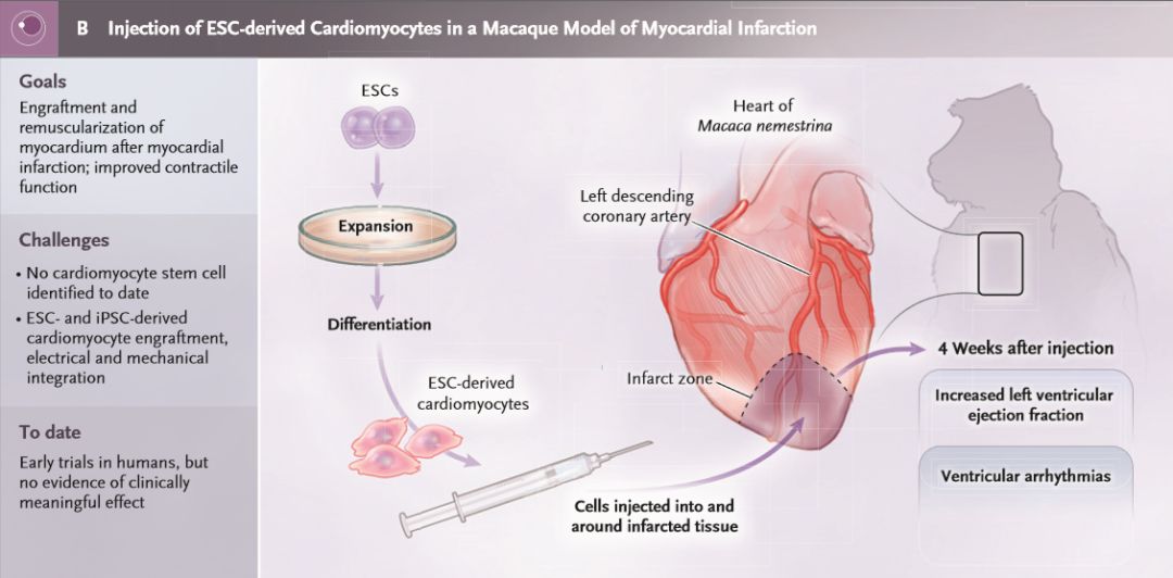 谁持彩练当空舞的出处,谁持彩练当空舞出自哪里