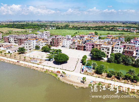 从一树繁花到满地落花,从一树繁花到硕果累累