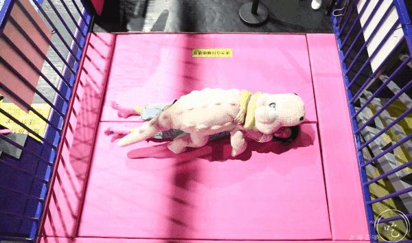 high蹦床主题乐园,高空旋转秋千游乐场