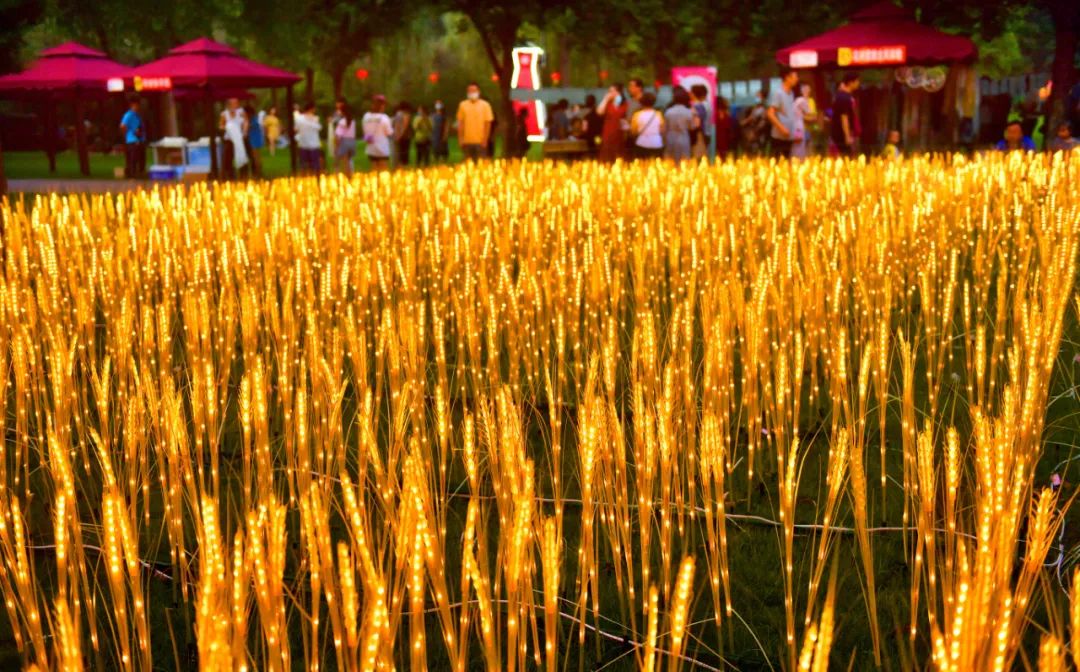 洛阳打卡攻略,洛阳打卡必去的十大景点