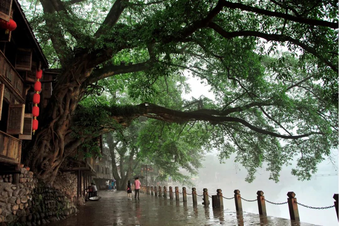 夏天小众避暑地,洪雅花硒谷避暑康养度假小镇