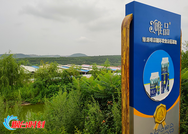 烟台民营企业隐形冠军,聪颖农业助力春耕生产降本增效