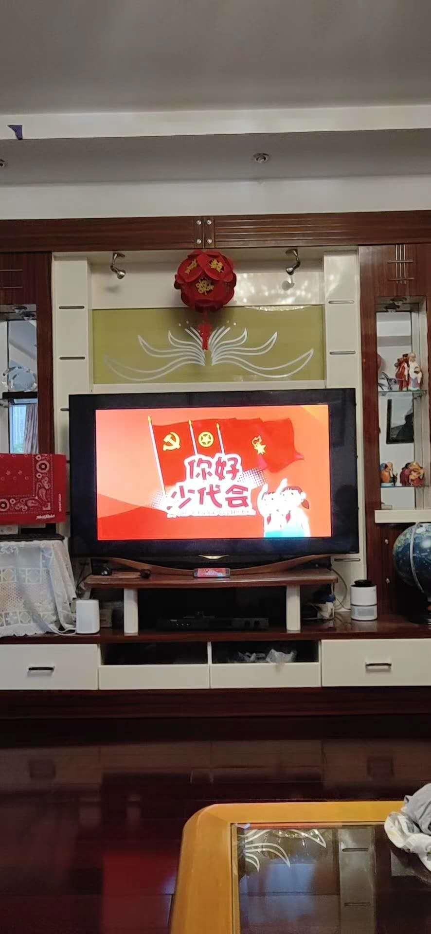 中国少年先锋队第三届少代会提案,少代会中国少年先锋队