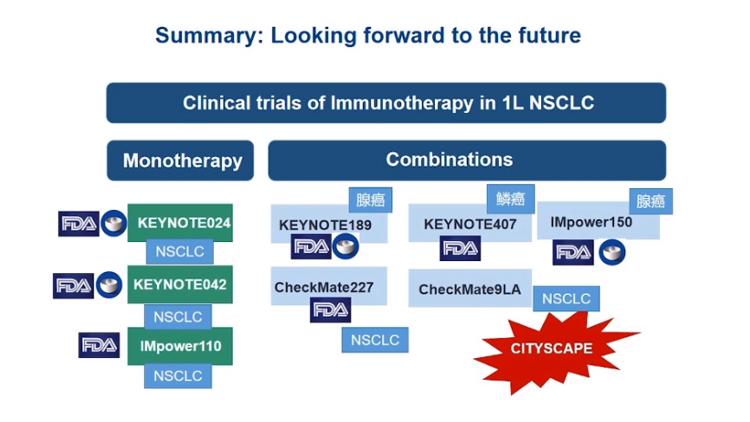 陆舜教授谈晚期egfr肺癌,陆舜教授谈肿瘤治疗