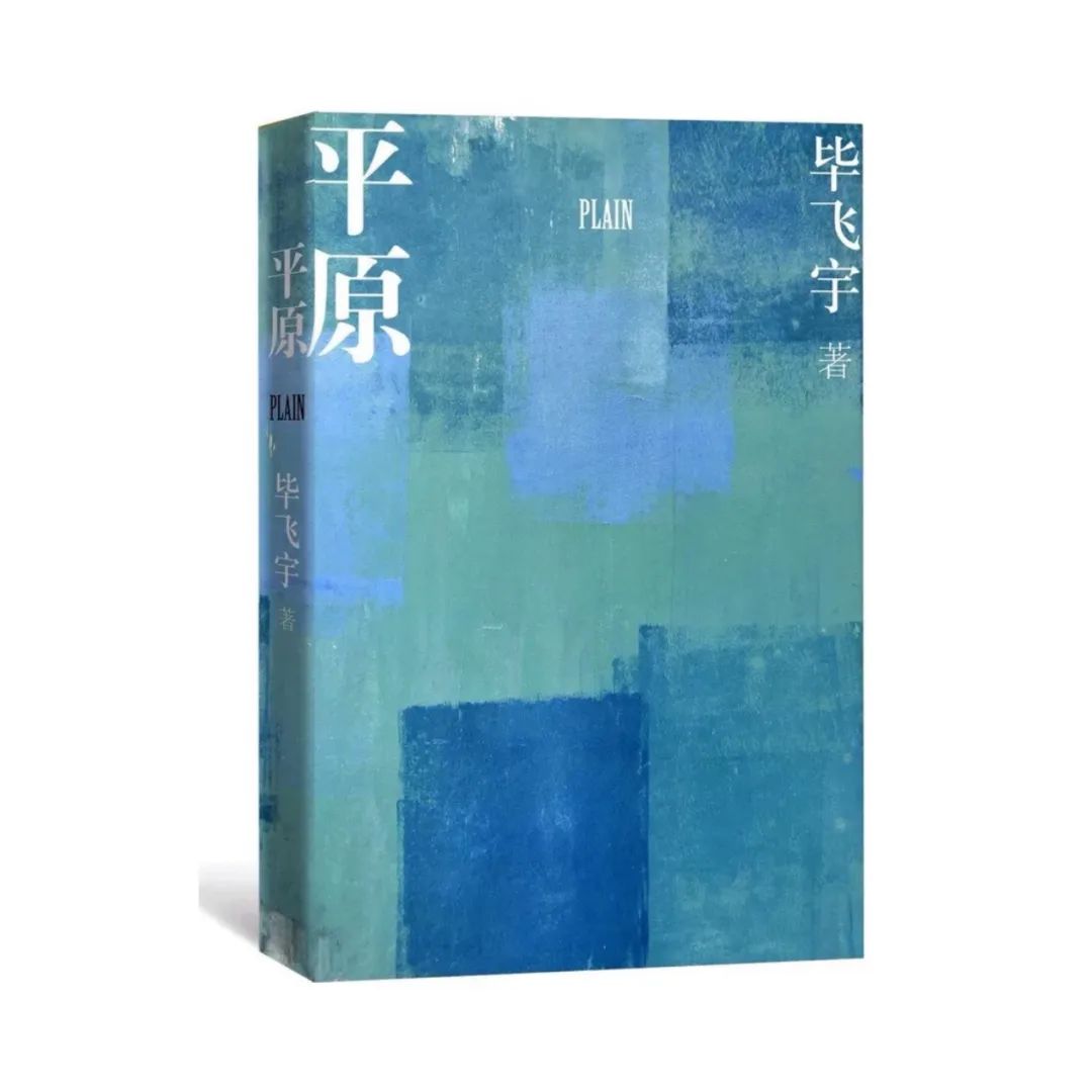 毕飞宇苏北地域文化,毕飞宇在文学界什么地位