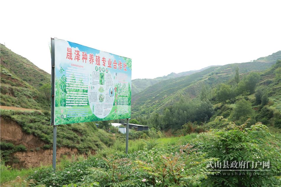 山丹搭建平台创业,武山县山丹供销综合服务社