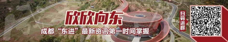 晨读成都,晨读成都七中林荫