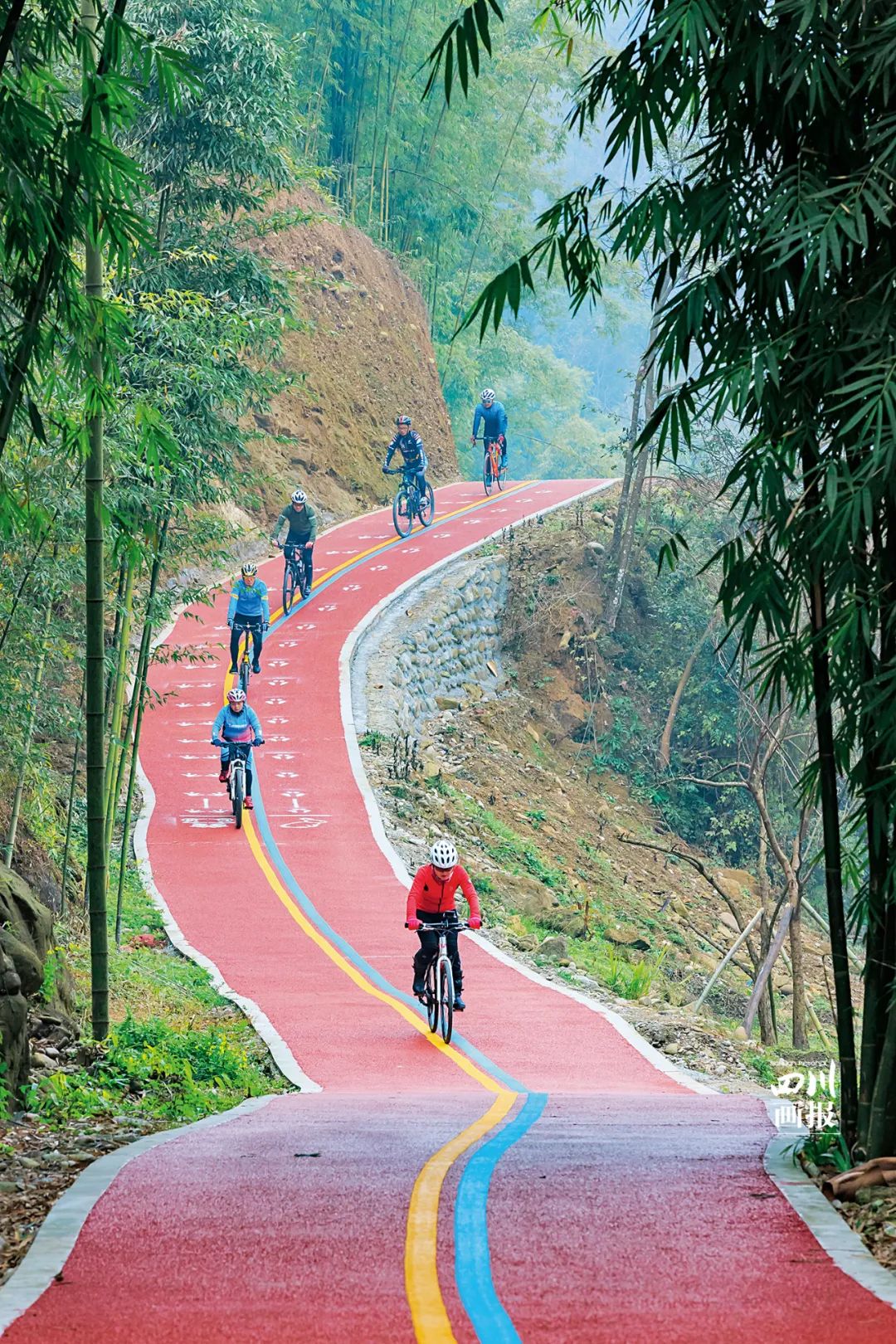 四川成都绿道视频,四川有哪几个绿道