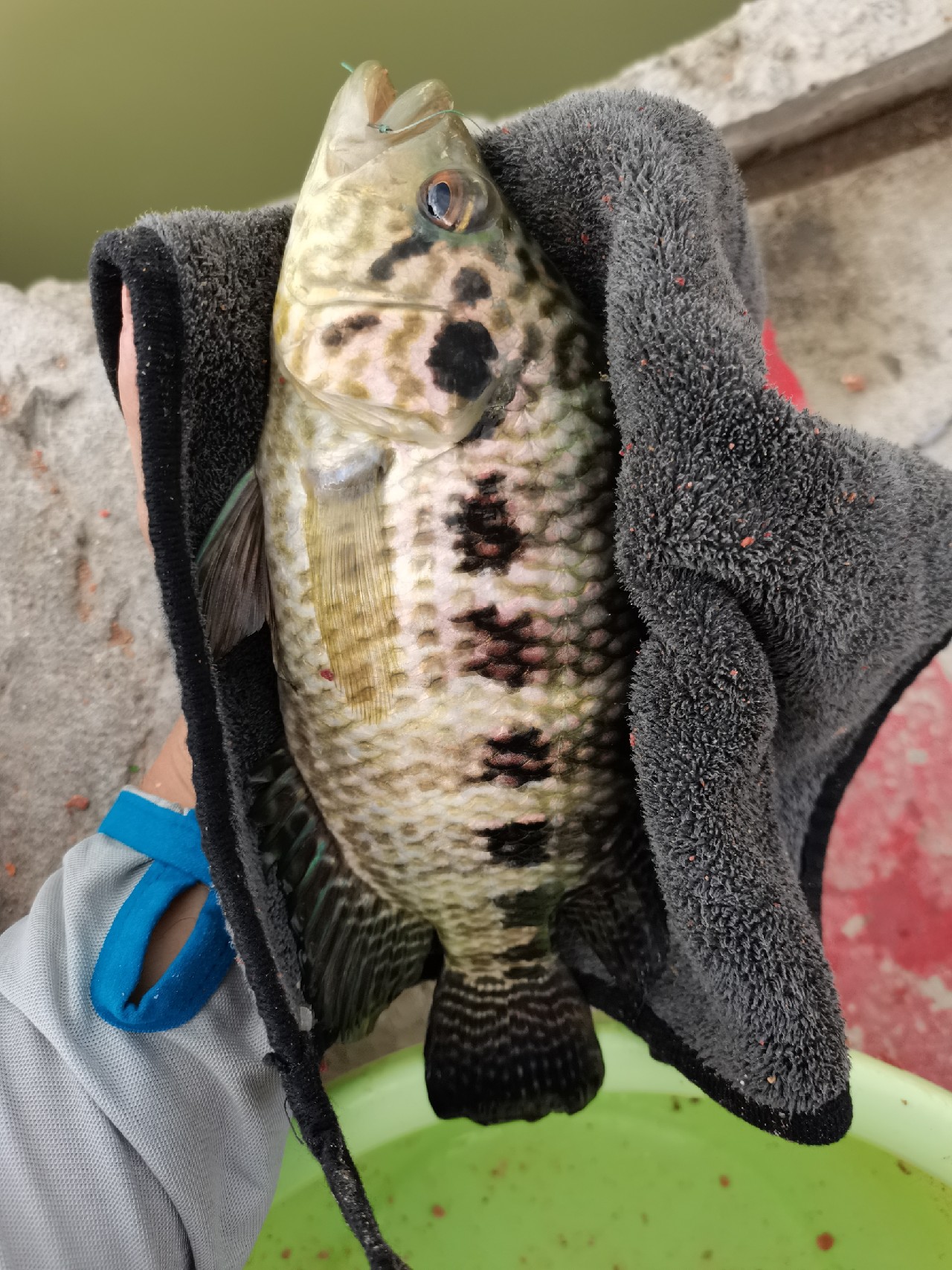 手持两米七神戟，瞎搞高田坑一天