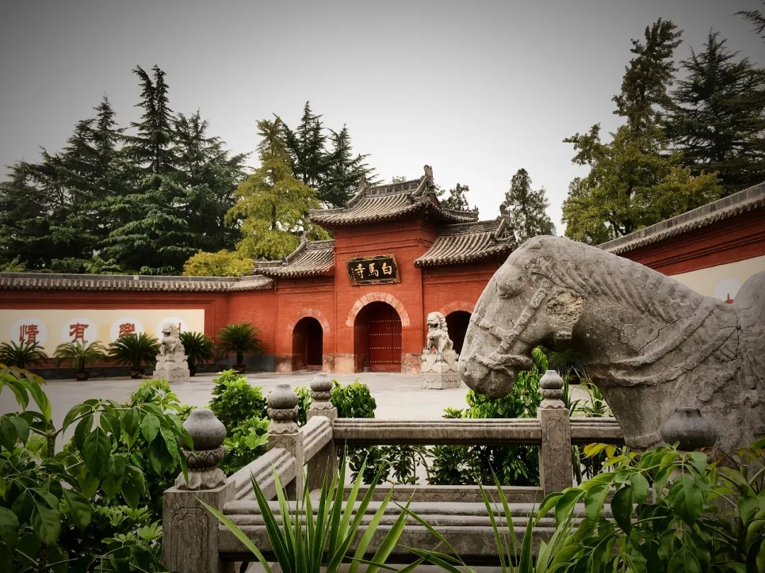 洛阳打卡攻略,洛阳打卡必去的十大景点