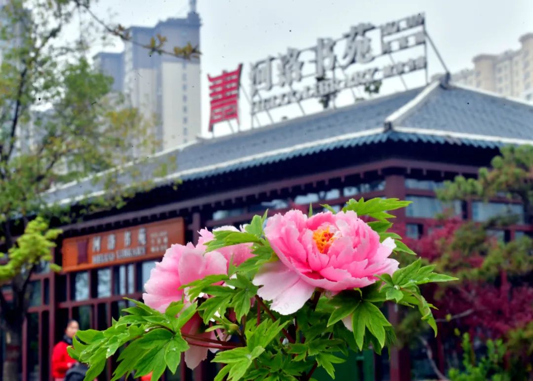 洛阳打卡攻略,洛阳打卡必去的十大景点