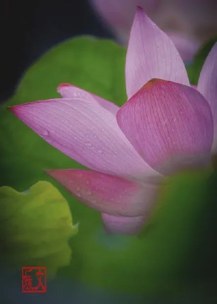 福州市节假日免费乘公交地铁,福州地铁公交周末节假日免费坐