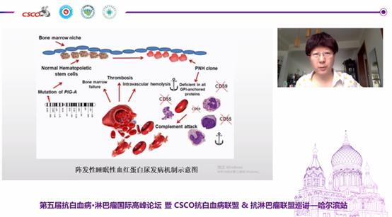肿瘤免疫治疗高峰论坛在青举行,肿瘤高峰论坛
