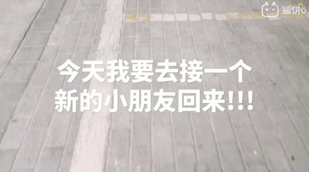 宜家大鲨鱼便宜,宜家大鲨鱼值得入手吗