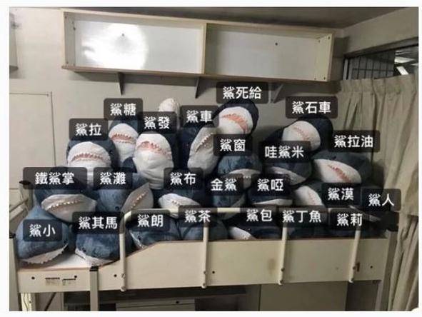 宜家大鲨鱼便宜,宜家大鲨鱼值得入手吗