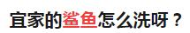 宜家大鲨鱼便宜,宜家大鲨鱼值得入手吗
