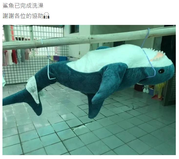 宜家大鲨鱼便宜,宜家大鲨鱼值得入手吗