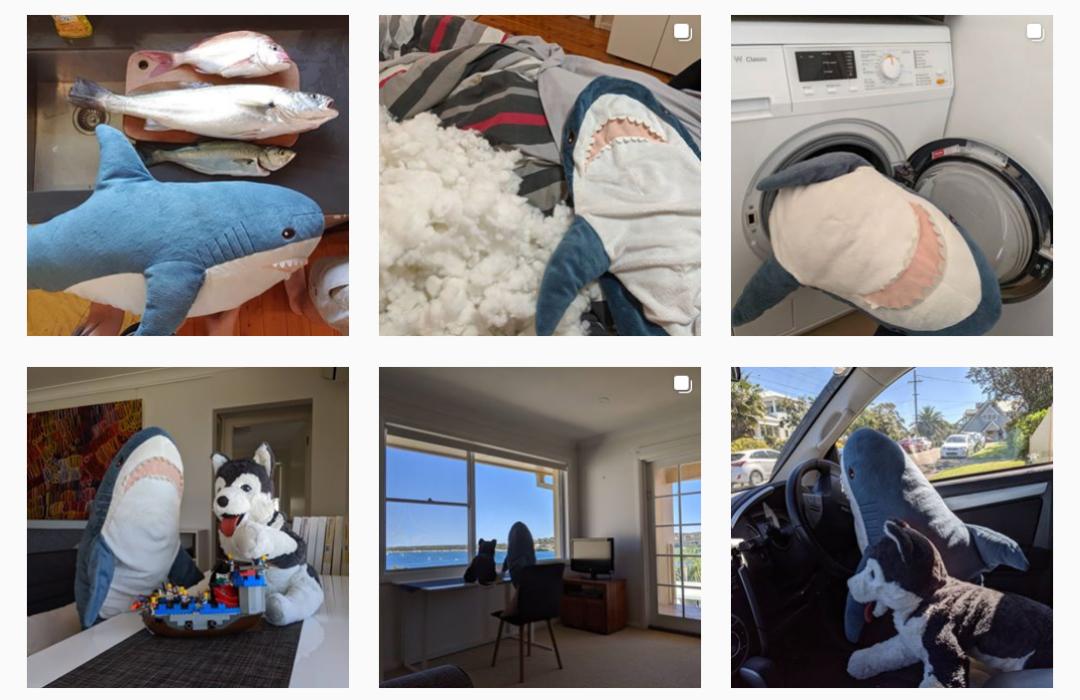 宜家大鲨鱼便宜,宜家大鲨鱼值得入手吗