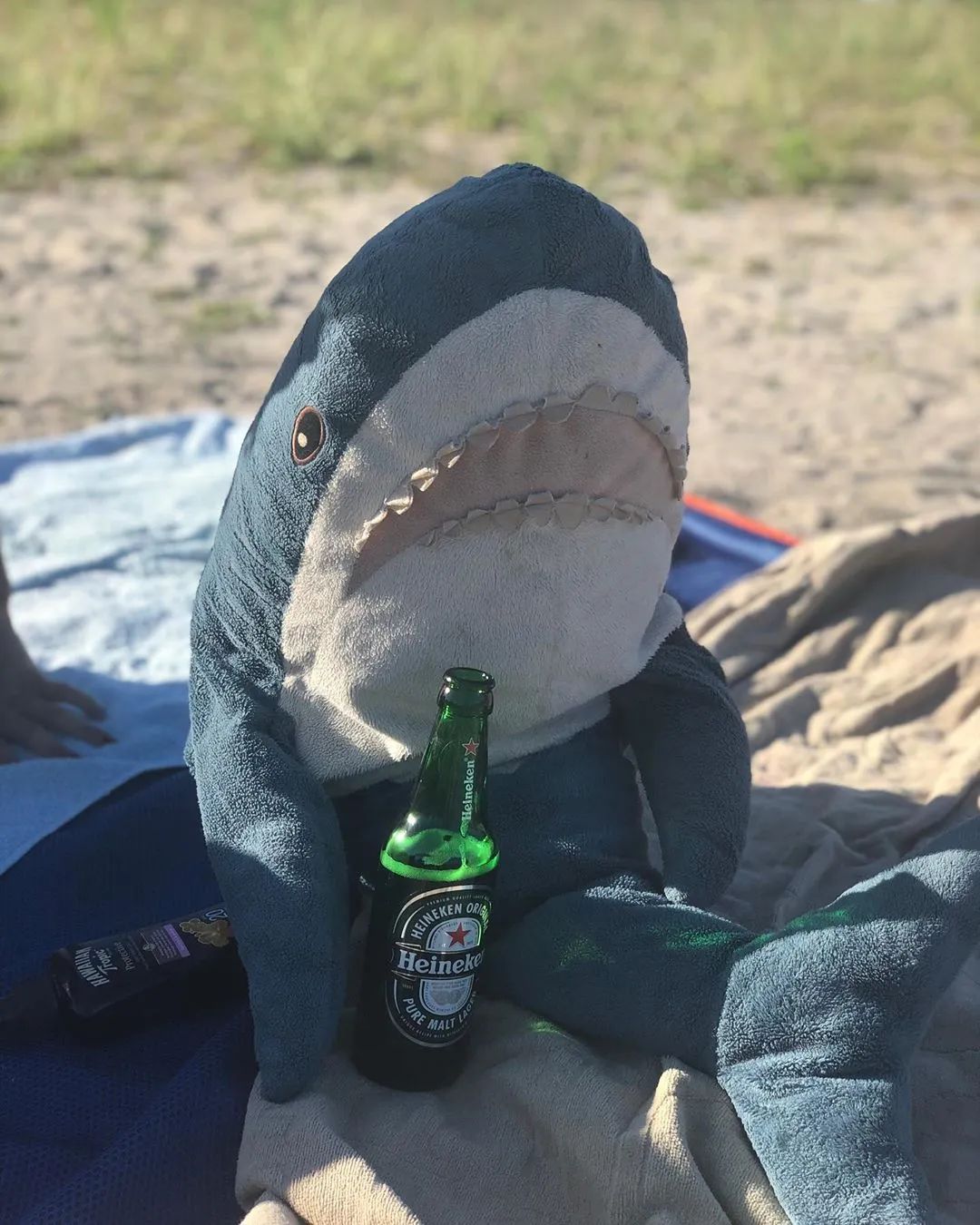 宜家大鲨鱼便宜,宜家大鲨鱼值得入手吗