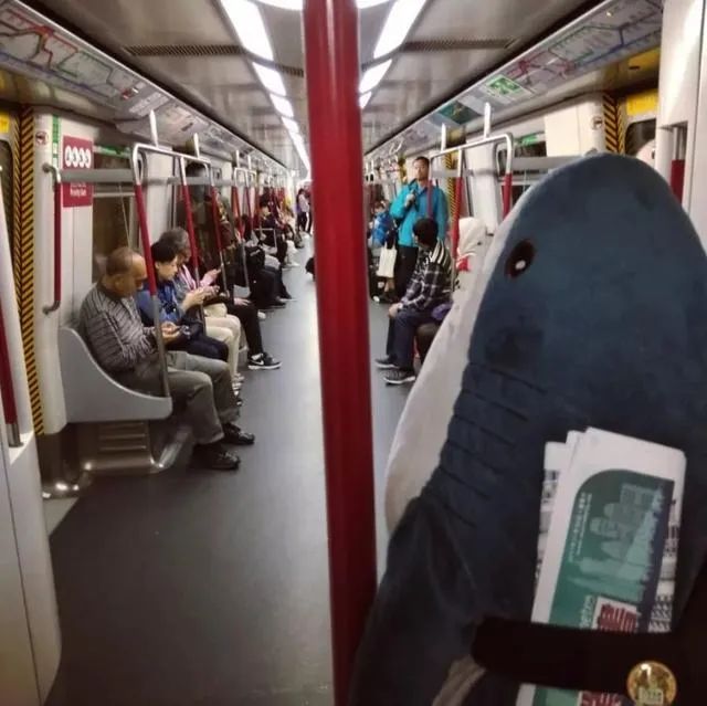 宜家大鲨鱼便宜,宜家大鲨鱼值得入手吗