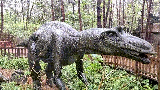 成都周边森林露营看萤火虫,成都周边森林公园露营