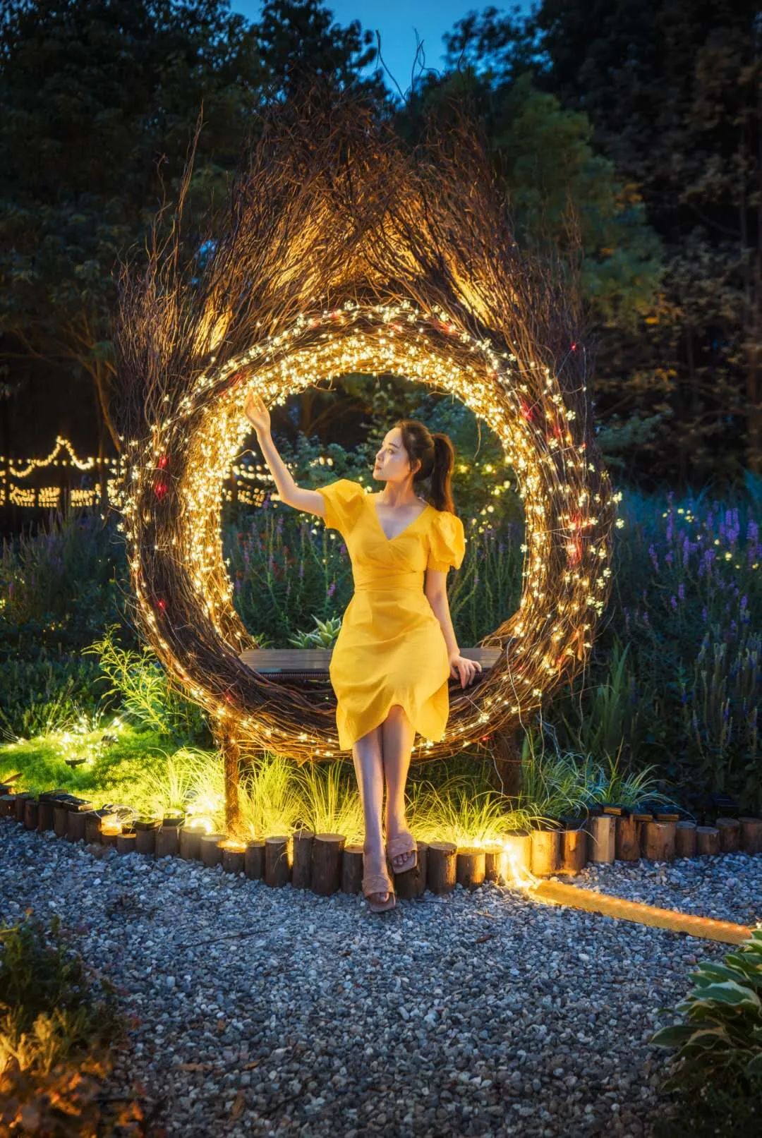 成都周边森林露营看萤火虫,成都周边森林公园露营