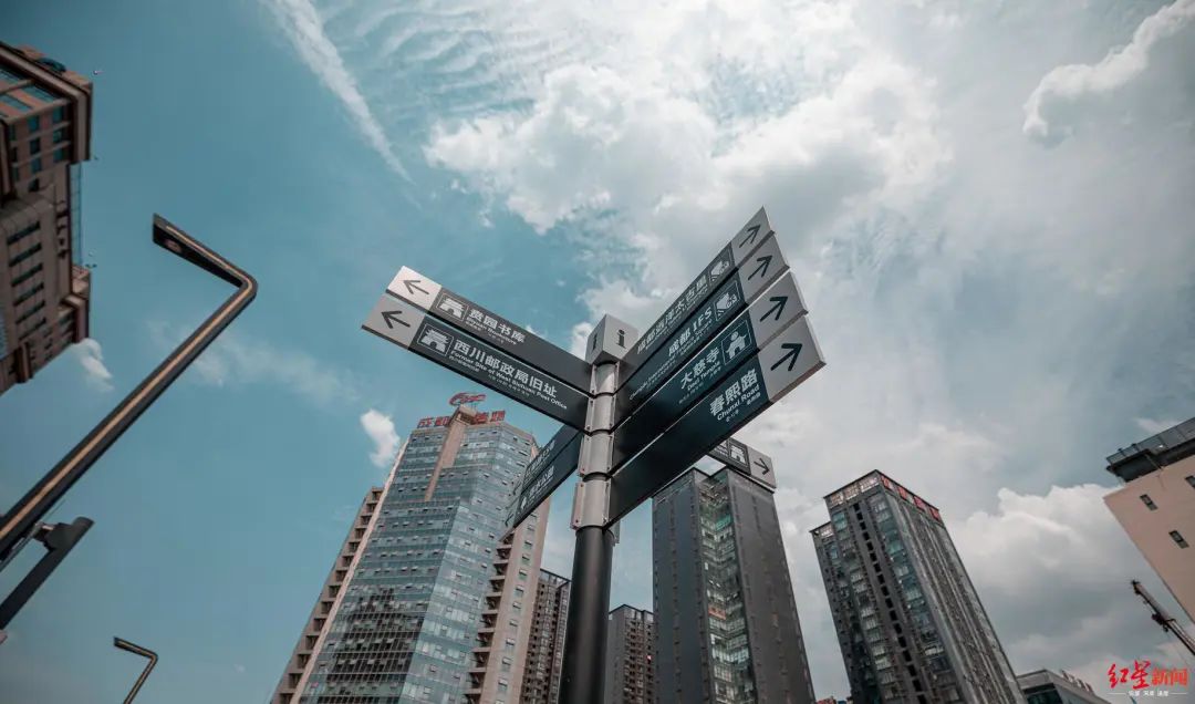 晨读成都,晨读成都七中林荫