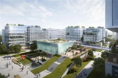 晨读成都,晨读成都七中林荫