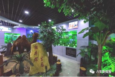 嗨，我是六安一中东校区，欢迎新同学……