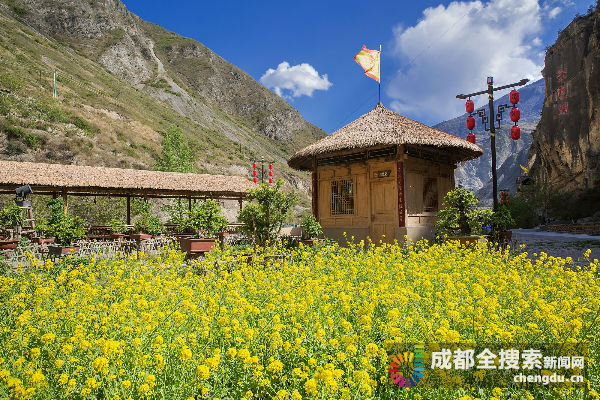 邛崃“亲人”为九寨发展贡献聪颖和力量