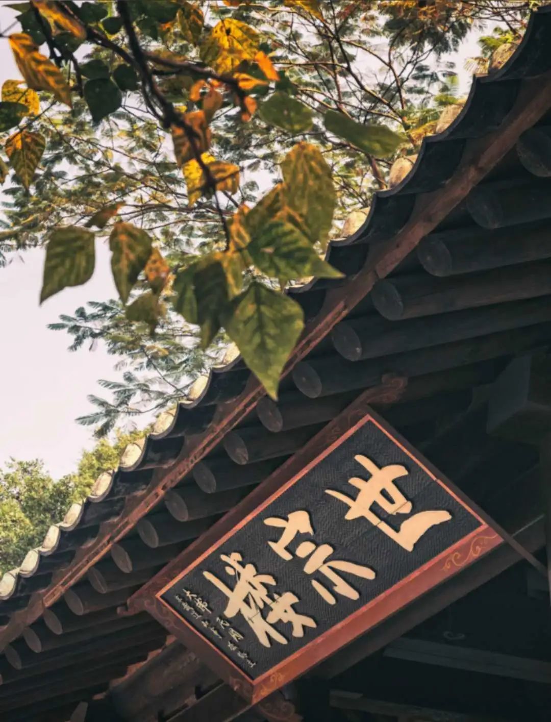 越秀公园全面开放啦！游园攻略+防疫贴士戳→