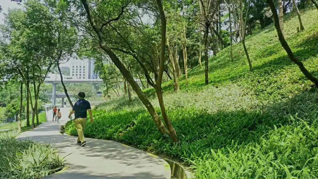 越秀公园全面开放啦！游园攻略+防疫贴士戳→