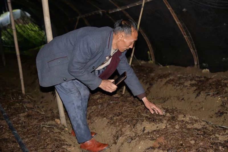 扶贫故事纪录片,扶贫故事两千字